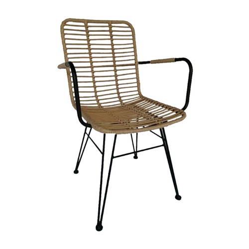 Steel Rattan Chair