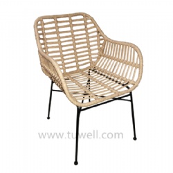 Steel Rattan Chair