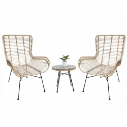 Steel Rattan Chair