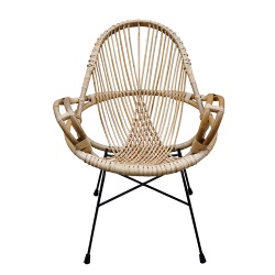 TW8812 Steel Rattan Chair