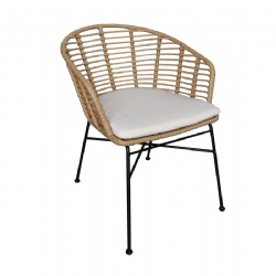 TW8781 Steel Rattan Chair