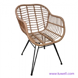 TW8711 Steel rattan chair