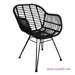 TW8711 Steel rattan chair