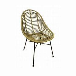 TW8715 Steel Rattan Chair