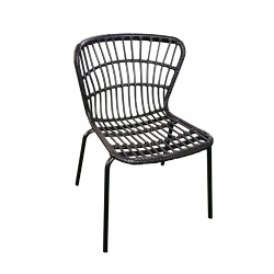 Steel Rattan Chair