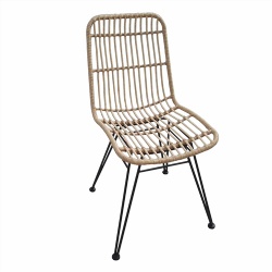 TW8749 Steel rattan chair