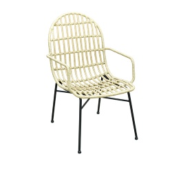 TW8793 Steel Rattan Chair